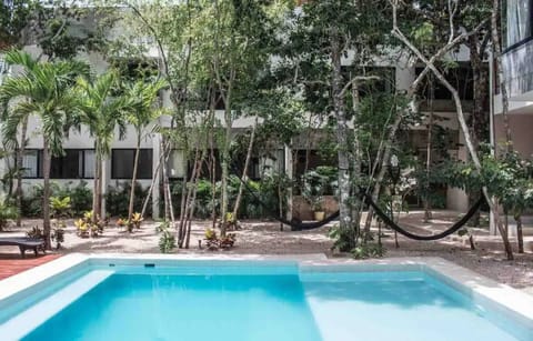 Agusto Kaax , surrounded by jungle