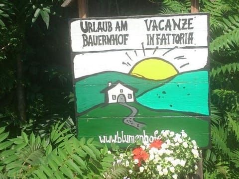 Fewo Orange - Blumenhof Elfi Farm Stay in Carinthia, Austria