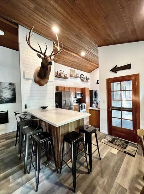 Kitchen.  Bar height center island. Clyde the elk from Happy Jack. 