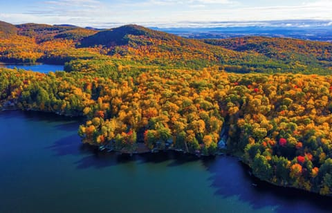Overview of the Lake 