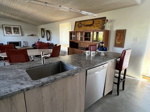 Cook's kitchen with gray soapstone island, stainless sink and Bosch dishwasher