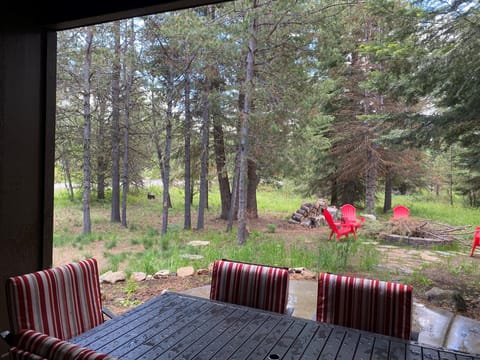 Huge backyard, firepit, covered patio, surround speakers, Games, more...