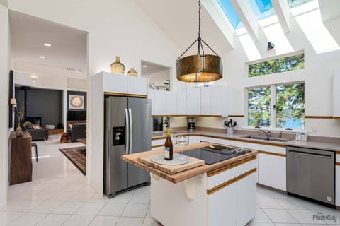 Kitchen (Main level)