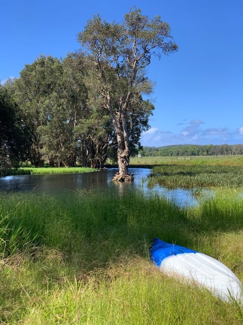 Borrow our kayak to paddle the billabong