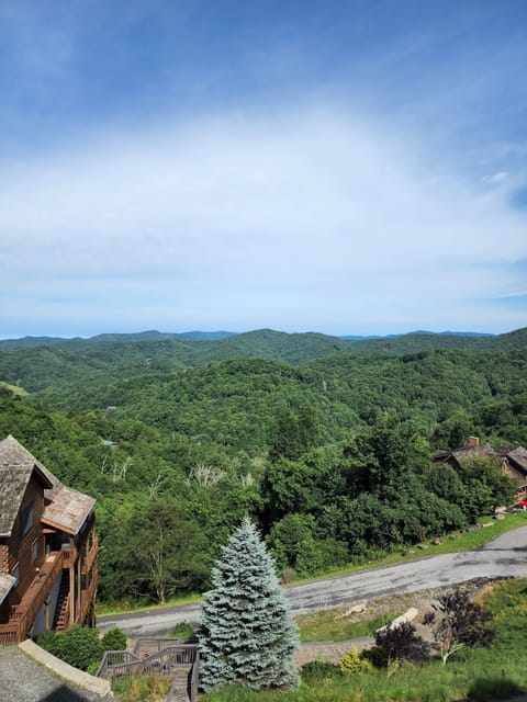 MOUNTAIN VIEW FROM BALCONY