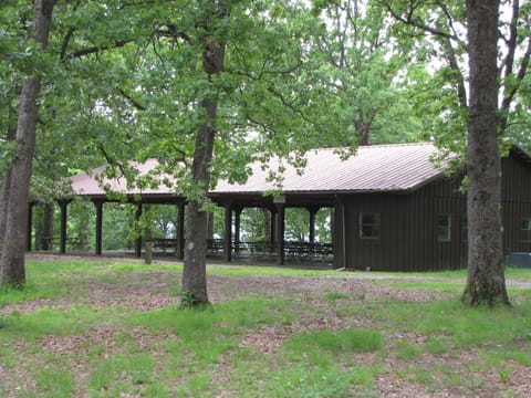 TLC-Tiny Cabin with loft located in park like setting. Cabin in Shell Knob