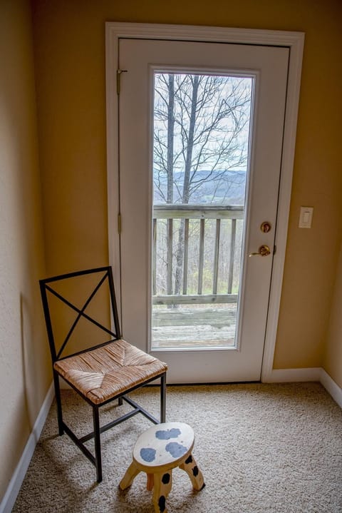 Stone's Mountain View (1900)