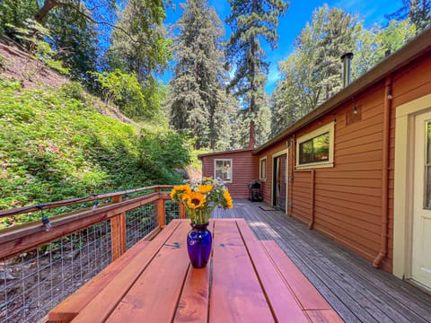 view of back deck and picnic table