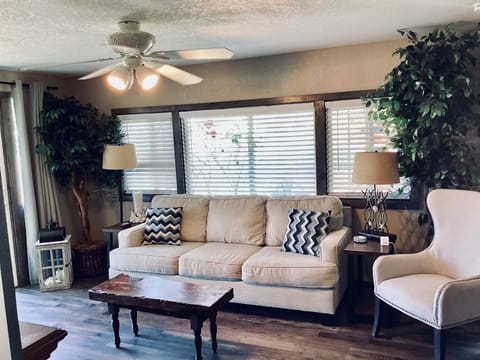 Queen size pullout couch in living room