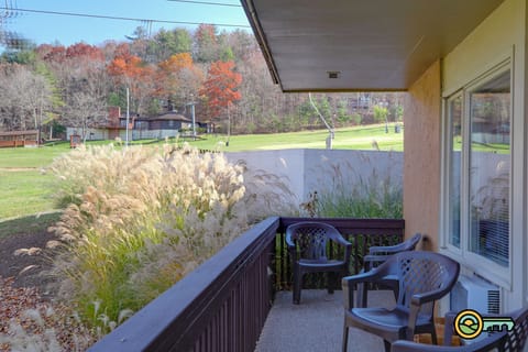 Balcony view of ski slopes & bike park