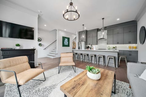 Living Room and Kitchen Area
