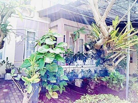 Terrace on the frontside