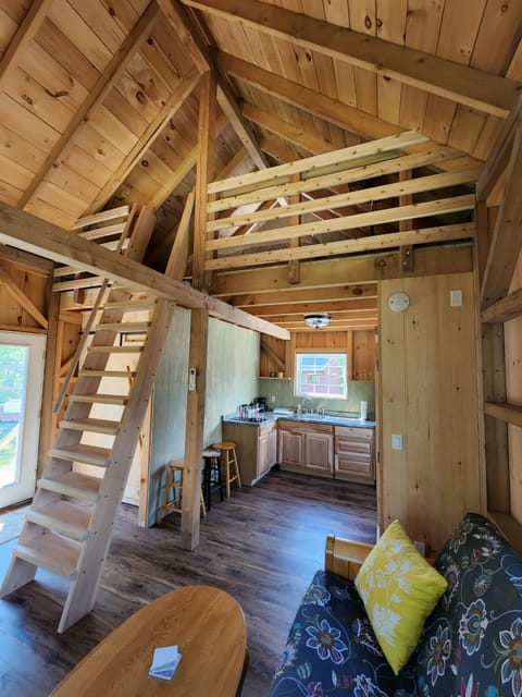 Living room space looking back into kitchen and sleep loft.