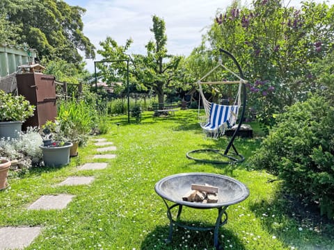 Plant, Property, Botany, Nature, Sky, Flowerpot, Tree, Outdoor Furniture, Grass, Table