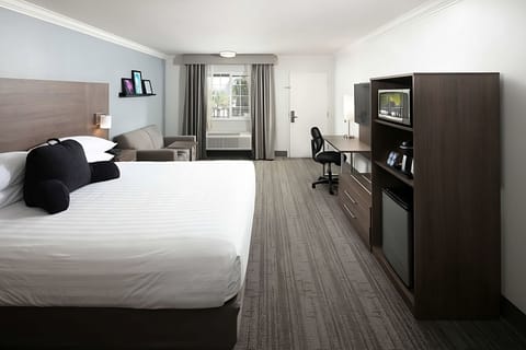 A fully equipped unit- King size bed, sofa, laptop-friendly space