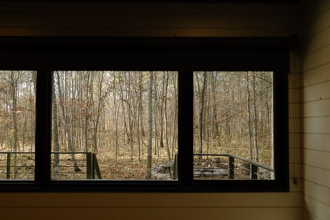 View from cabin in fall