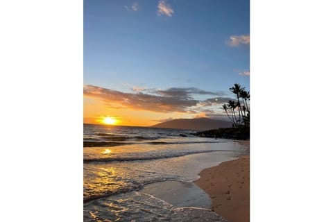 Kamaole Beach Park 1 - A minute walk from your condo!
