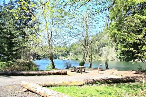 Unwind lakeside with picnic moments under bright, peaceful trees.
