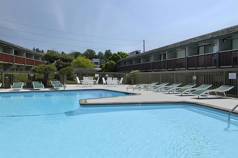 Large swimming pool, bring the kids and jump right in!