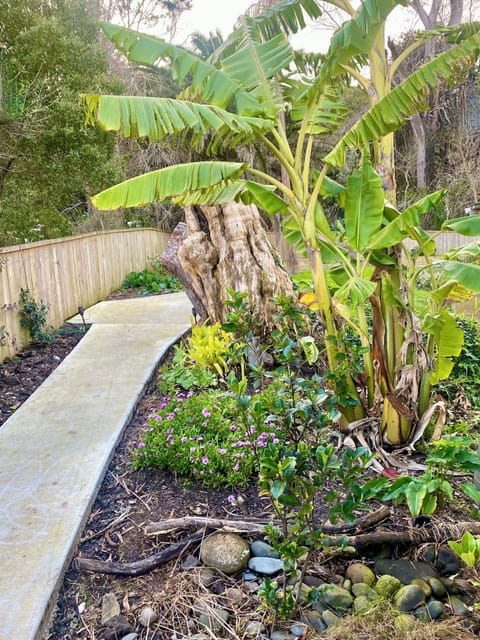 Rear fully fenced tropical garden