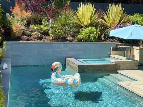 Beautiful pool and spa with outdoor BBQ.