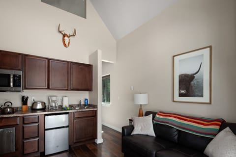 Kitchenette and Living Room