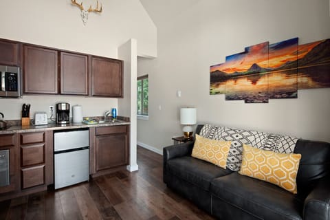 Kitchenette and Living Room