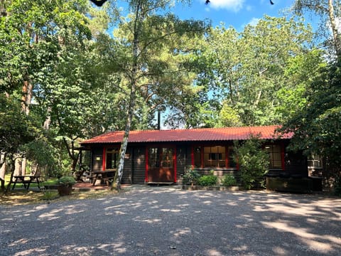 Welcome to Karelia set within Ringwood Forest, sleeping up to 10 guests