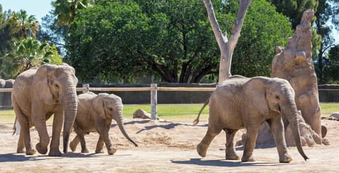 Plan a fun day out at popular nearby family attractions.