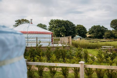 Discover the spirit of nomadic living with a stay at Magnolia Dog