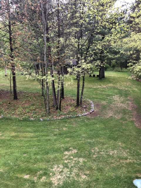 Backyard view from porch