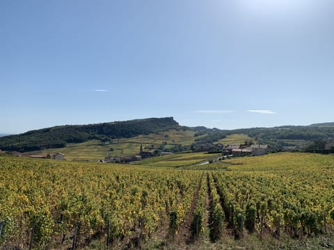 Character house with view surrounded by vineyards House in Bourgogne-Franche-Comté