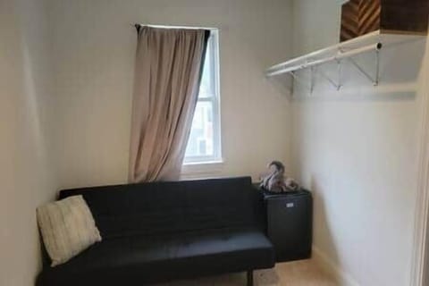 Large walk in closet with sleeper sofa