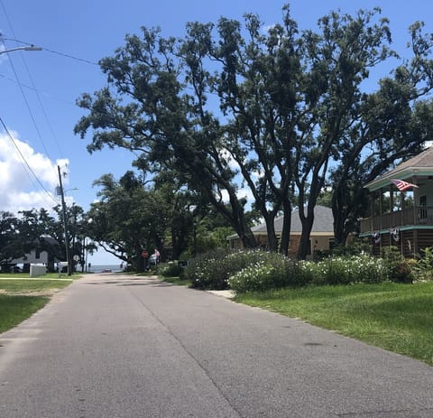 Just steps down treelined street to beach!