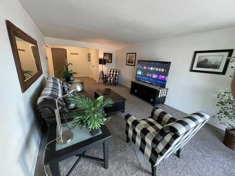 Living Room with new 65' HDTV