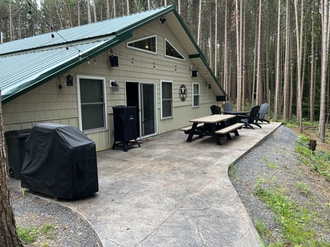 Rear patio with grill