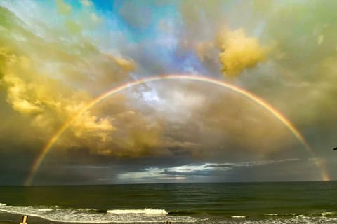 Rainbow from your 11th Floor Oceanfront Private Balcony