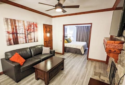 "Mountain Contemporary" decor, remodeled in 2022