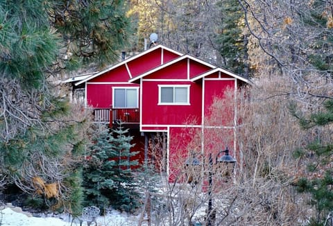 Red cabin in the woods