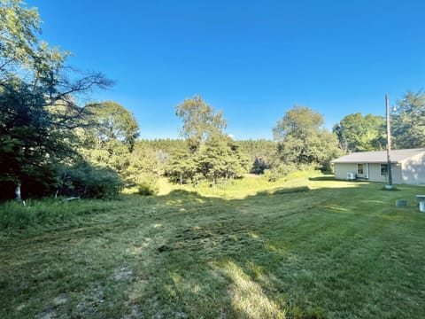 Backyard with plenty of space