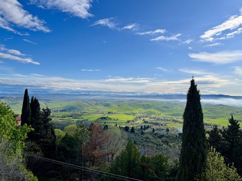 View from Kitchen and/or main bedroom