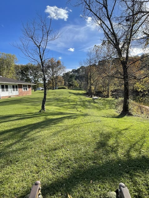 Large back yard for all of entertainment options 