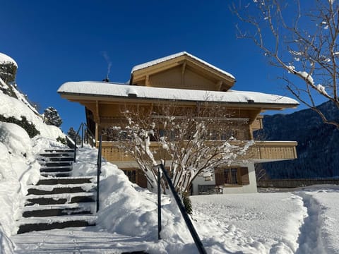 the stunning chalet in winter 
