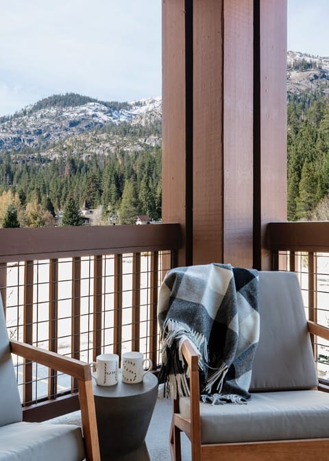 Enjoy the view up Shirley Canyon where lots of trees are to be seen