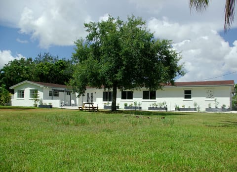 Front yard view upon entering gate. Plenty of open green space to enjoy. 
