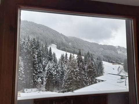 Sky, Property, Snow, Mountain, Nature, Black, Leaf, Branch, Slope, Tree