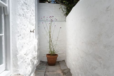 Front passage/patio area