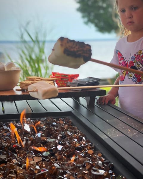 Back Yard Gas fire, wood burning fire pit with wood also included 