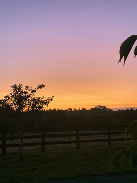 King size bedroom with ensuite and separate entrance, covered off street parking Bed and Breakfast in Cambridge