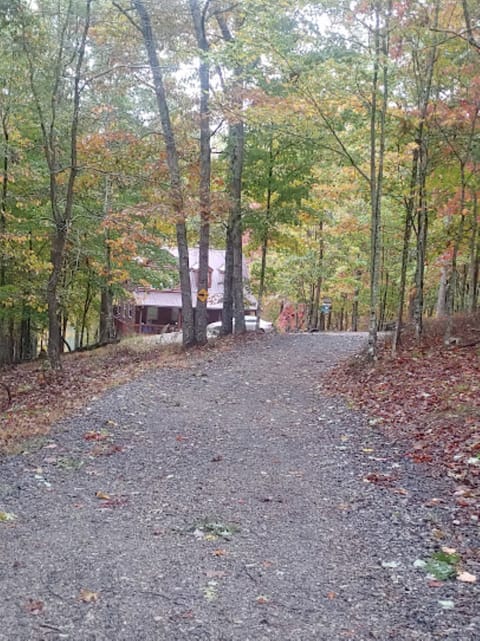 Meandering driveway to the cabin.